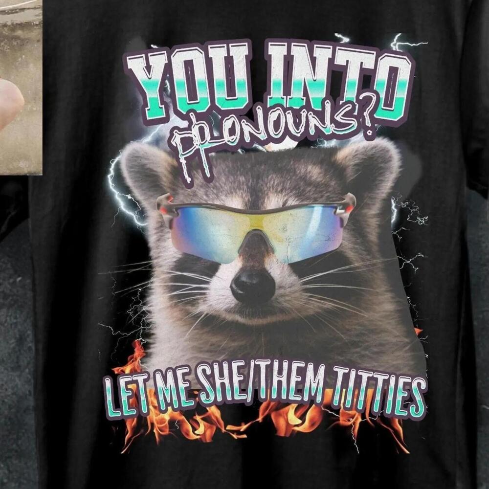 Stylish Pronouns Shirt,Funny Raccoon Tee,Inappropriate Shirt